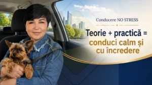 angela.ladydriver.ro